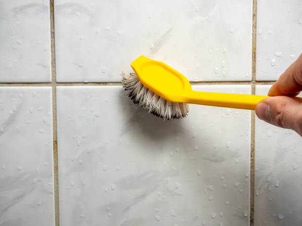 Best Certified Mold Removal  in Raymond, WA