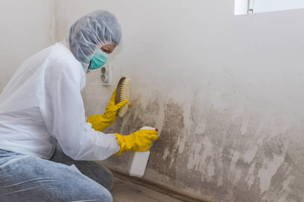 Best Mold Testing  in Raymond, WA