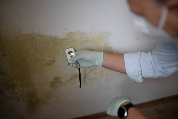 Best Mold Testing  in Raymond, WA