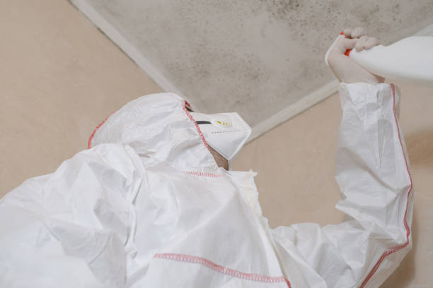 Best Crawl Space Mold Removal  in Raymond, WA