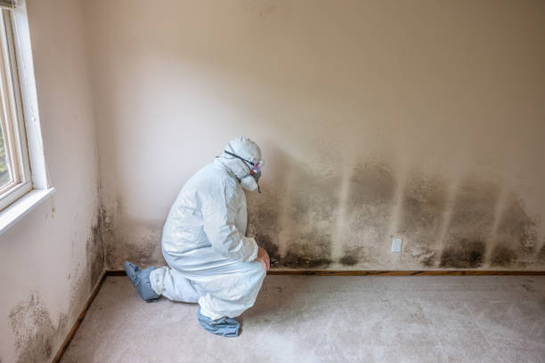 Best Mold Testing  in Raymond, WA